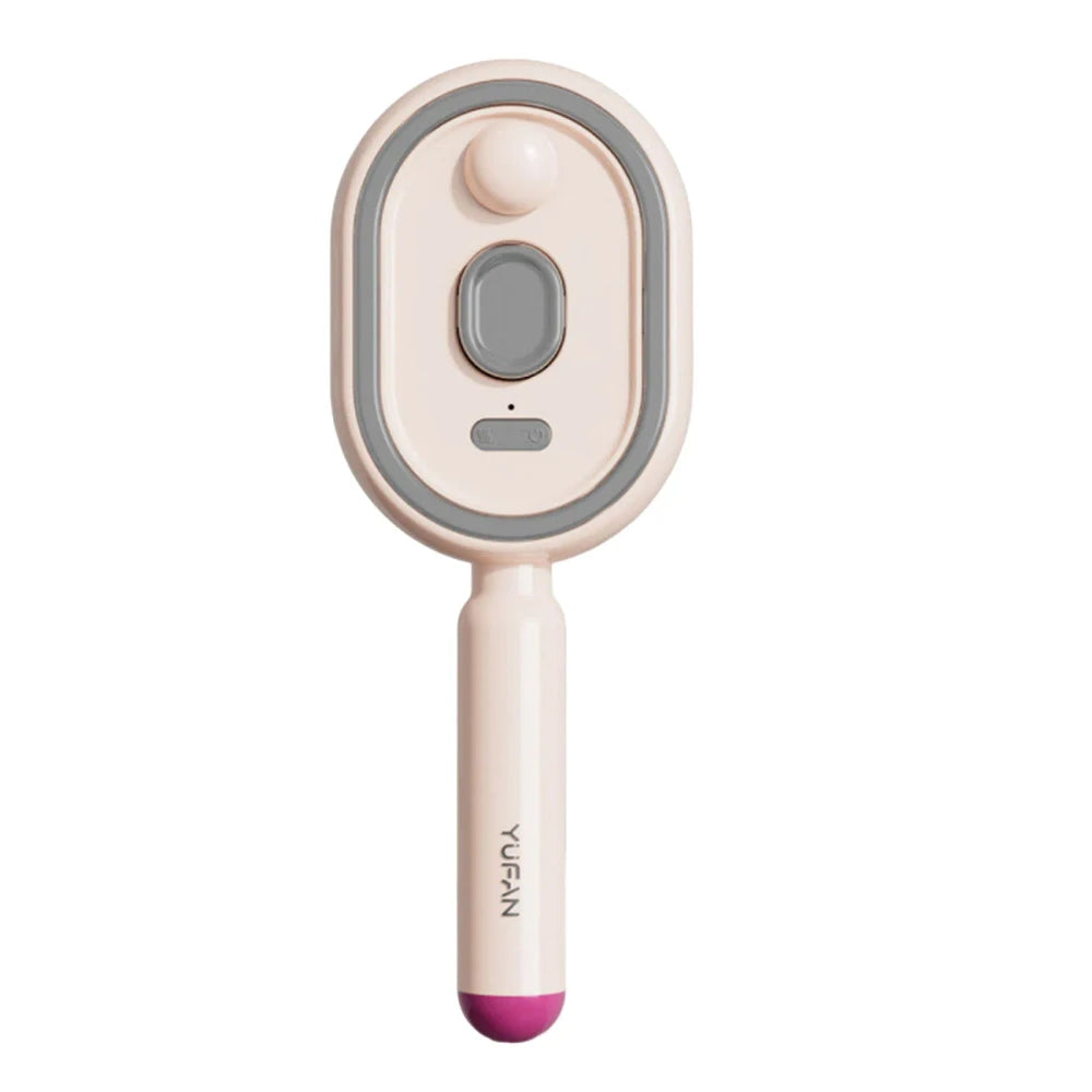 Rechargeable Steam Brush