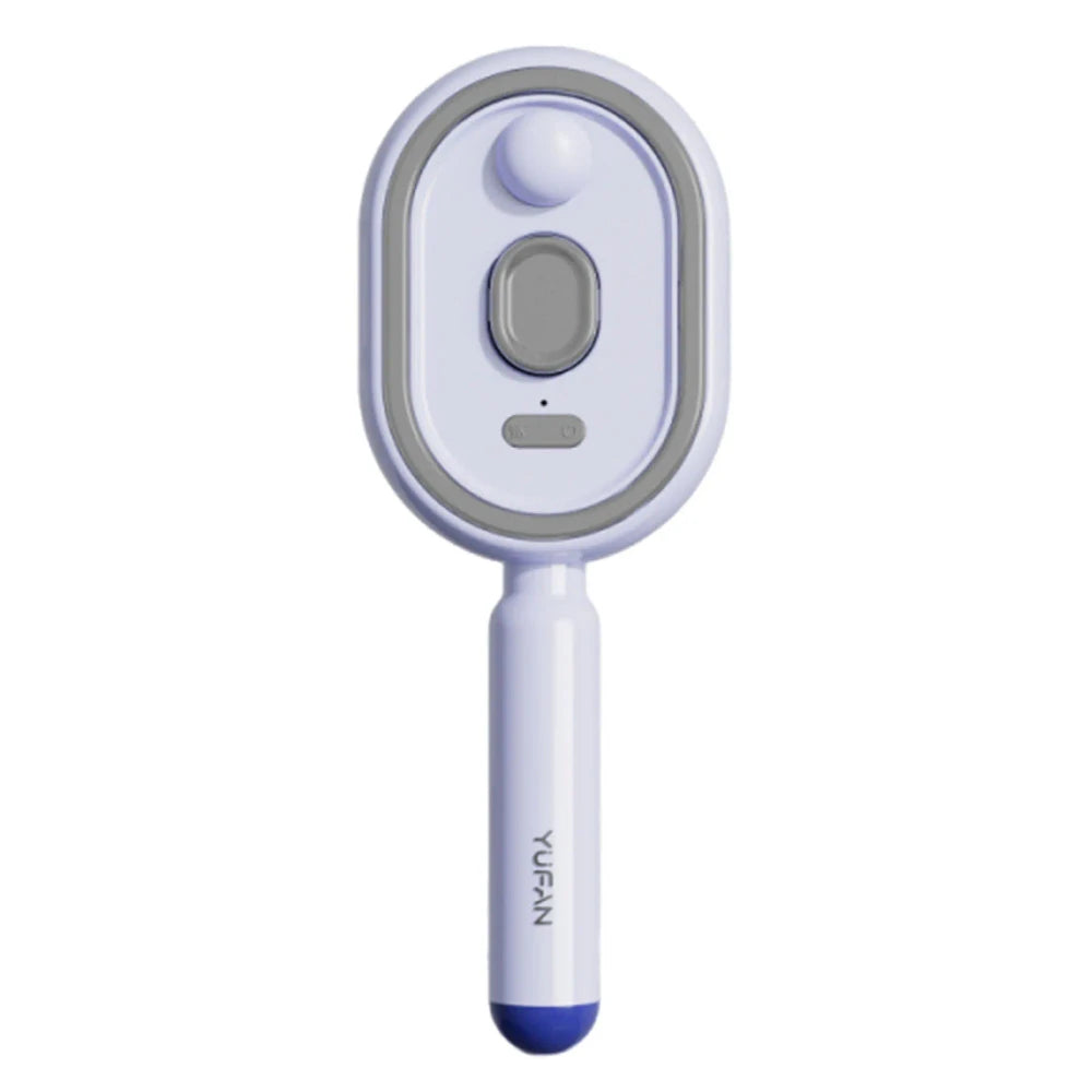 Rechargeable Steam Brush
