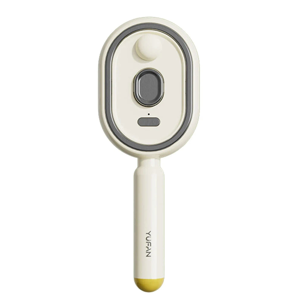 Rechargeable Steam Brush